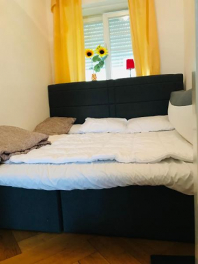Light and spicy, 2 Rooms apartment 60m2